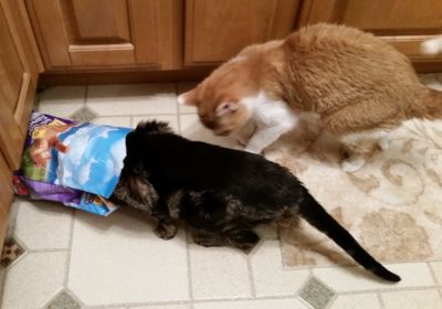 Louie & Jessie