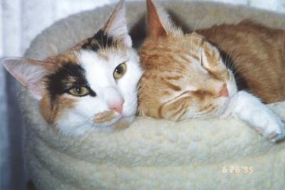 Phoebe & Mario