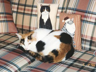 Phoebe