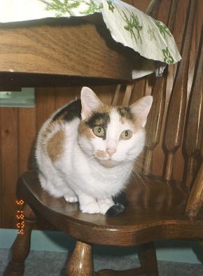 Phoebe