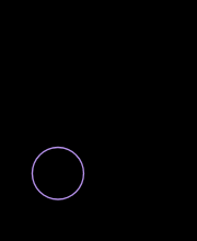 Rotating Circles