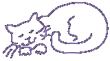 Kitty