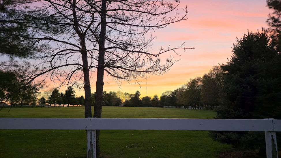 Beautiful evening for a walk. By Zack Campbell